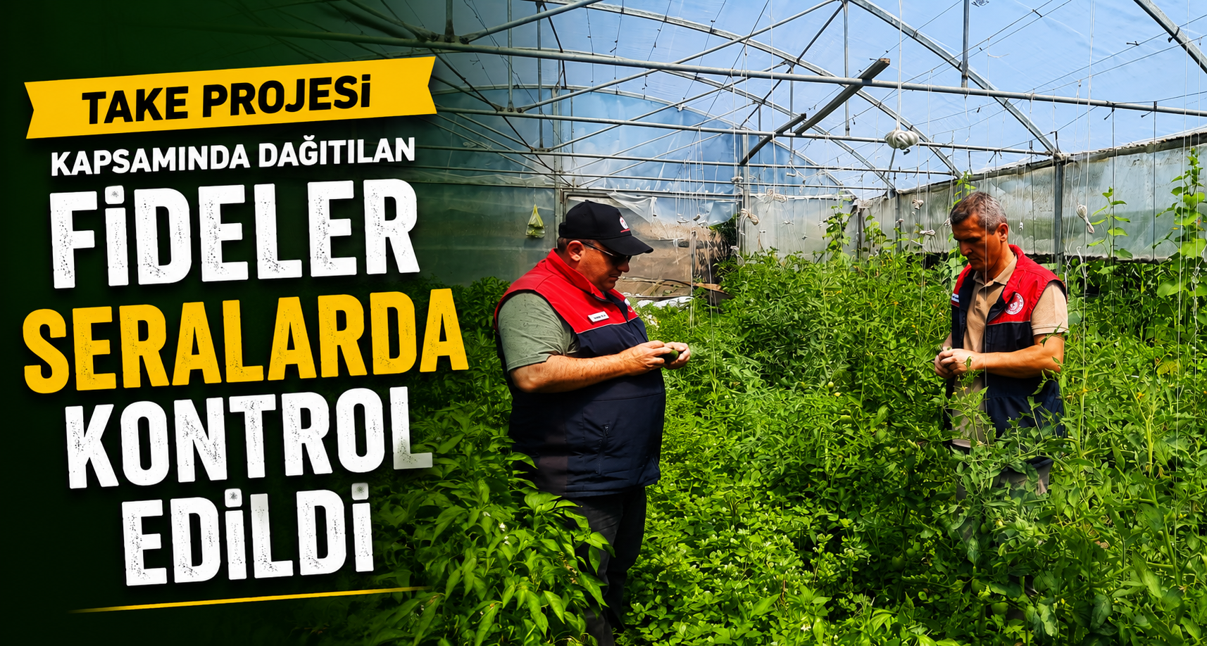 TAKE Projesi Kapsamında Dağıtılan Fideler Seralarda Kontrol Edildi