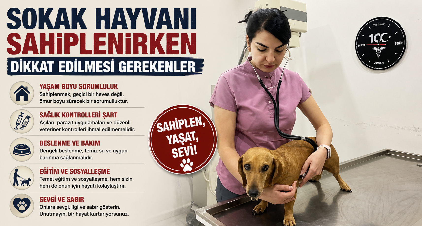 Sokak hayvanı sahiplenirken dikkat edilmesi gerekenler
