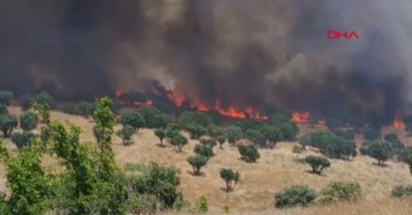 Diyarbakır’da 2 ayda çıkan yangınlarda 100 bin hektar alan zarar gördü