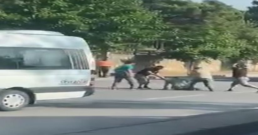  Trafikte sopalarla darba 4 tutuklama