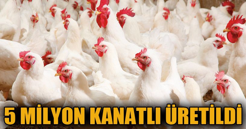 5 milyon kanatlı hayvanın sevki yapıldı