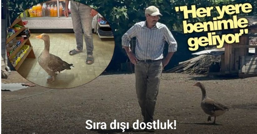 Ölmek üzereyken zeytinyağıyla kurtardı, 10 yıldır yanından ayrılmıyor