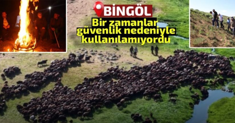 Bir zamanlar güvenlik nedeniyle kullanılamayan yaylalar, bugün hayvancılığın merkezi oldu