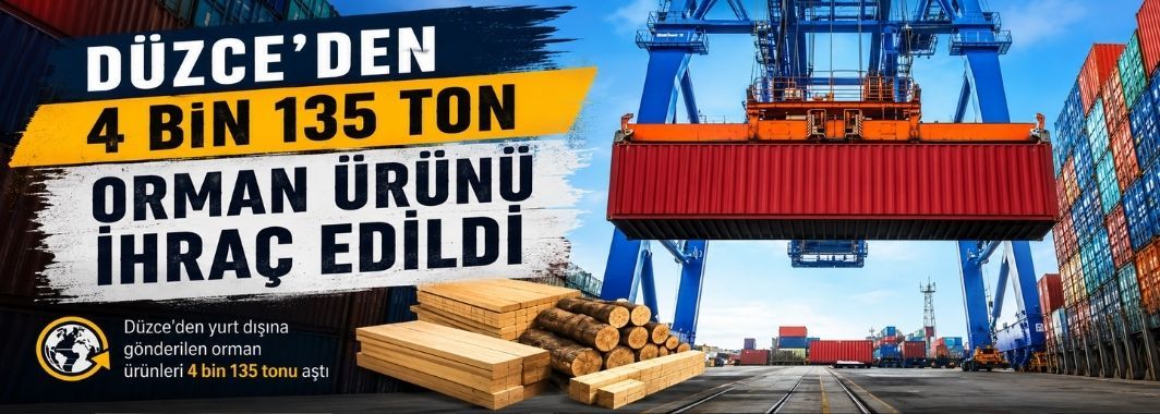 Düzce'den 4 Bin 135 Ton Orman Ürünü İhraç Edildi