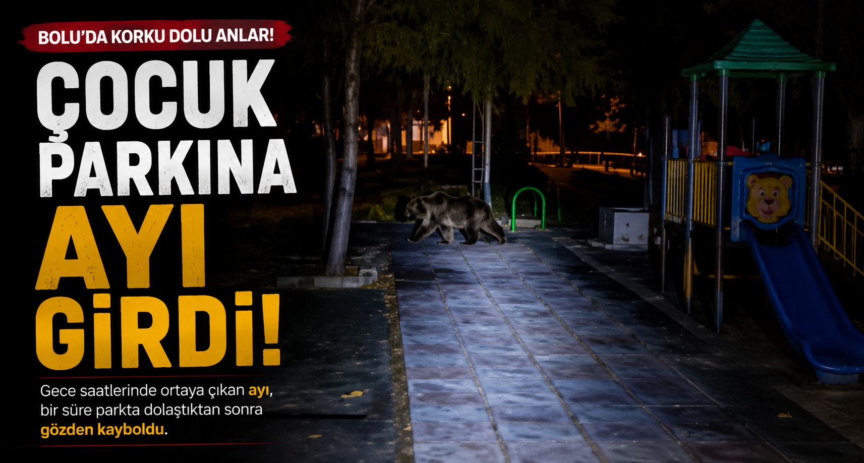 Bolu’da çocuk parkına ayı girdi
