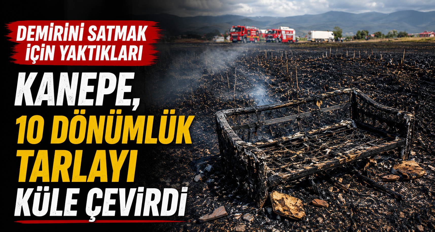 Demirini satmak için yaktıkları kanepe, 10 dönümlük tarlayı küle çevirdi