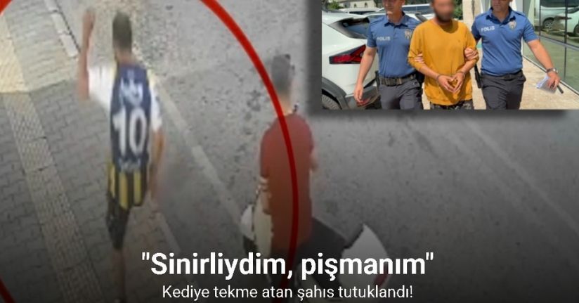 Kediye tekme atan şahıs tutuklandı: 
