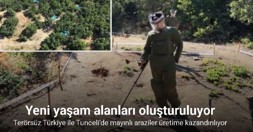 Terörsüz Türkiye ile Tunceli’de mayınlı araziler üretime kazandırılıyor