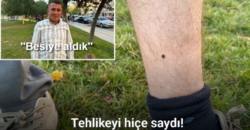 Vücuduna tutunan kene ile yüzük takma merasimine katılan besici, tehlikeyi hiçe sayarak 