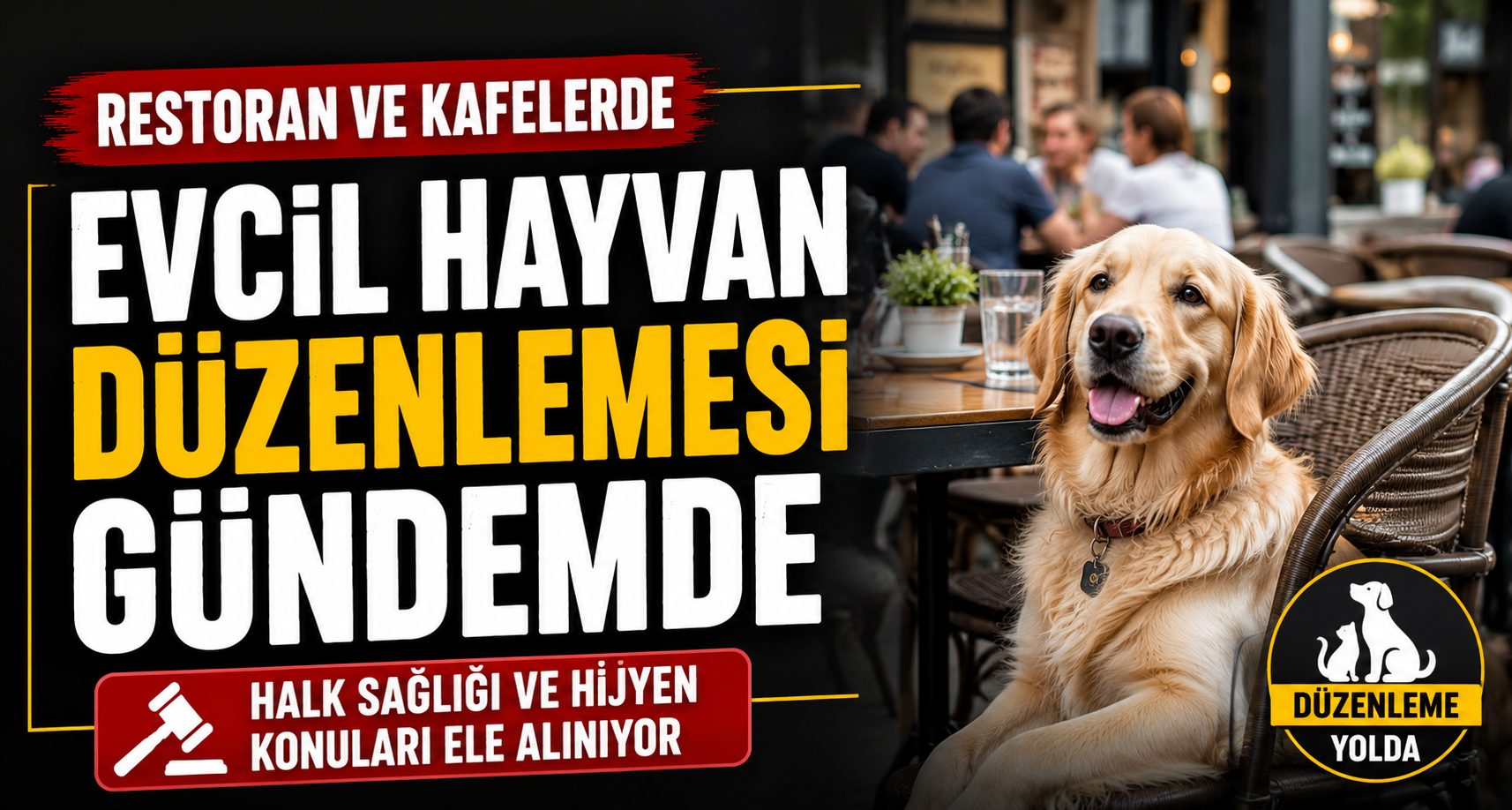 Restoran ve Kafelerde Evcil Hayvan Düzenlemesi Gündemde