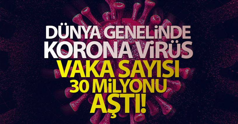 Dünya genelinde korona virüs vaka sayısı 30 milyonu aştı