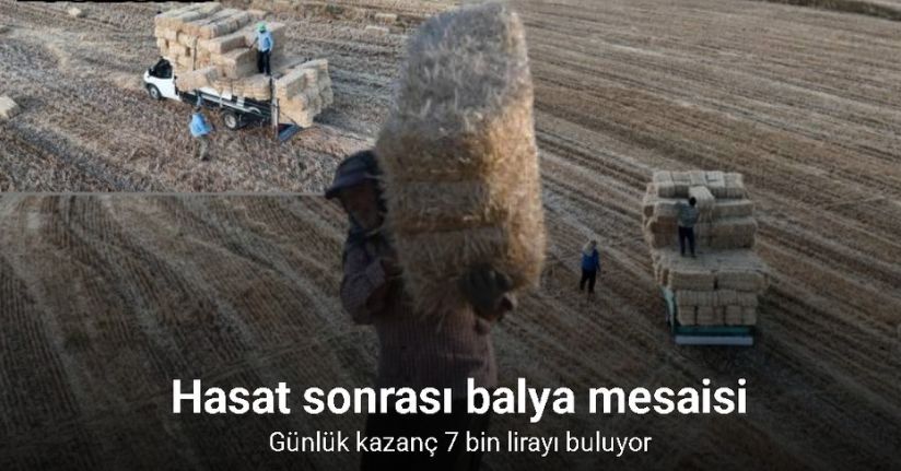 Hasat sonrası balya mesaisi başladı: Günlük kazanç 7 bin lirayı buluyor