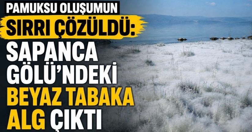Pamuksu oluşumun sırrı çözüldü: Sapanca Gölü’ndeki beyaz tabaka alg çıktı