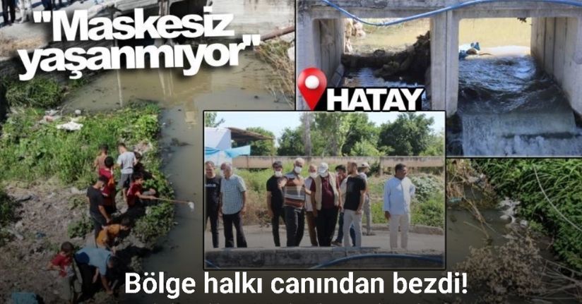 Fabrika atıklarının bırakılmasıyla yıllar içinde çöplük haline gelen derenin kokusu vatandaşlar canından bezdirdi