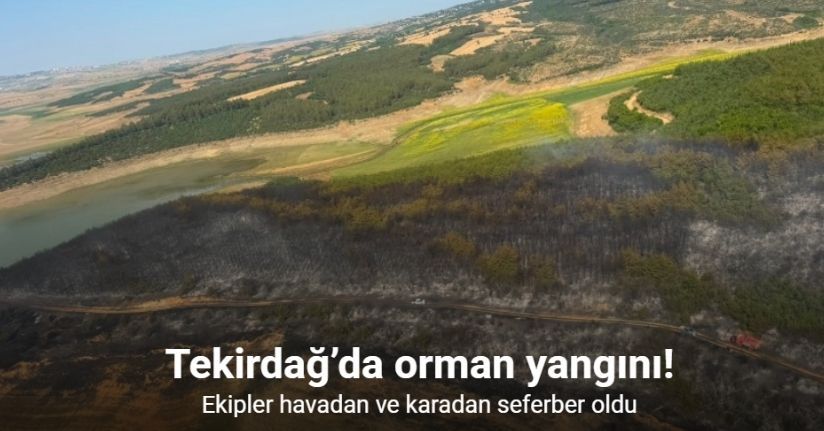 Tekirdağ’da orman yangını: Ekipler havadan ve karadan seferber oldu