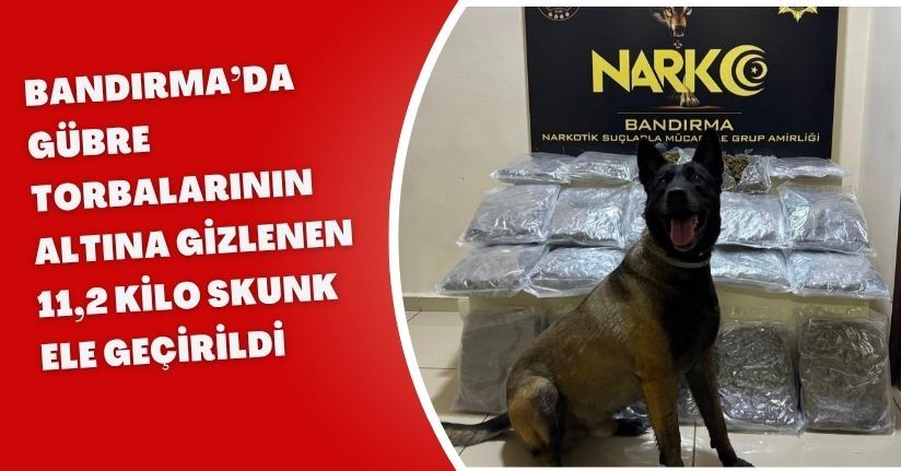 Bandırma’da gübre torbalarının altına gizlenen 11,2 kilo skunk ele geçirildi