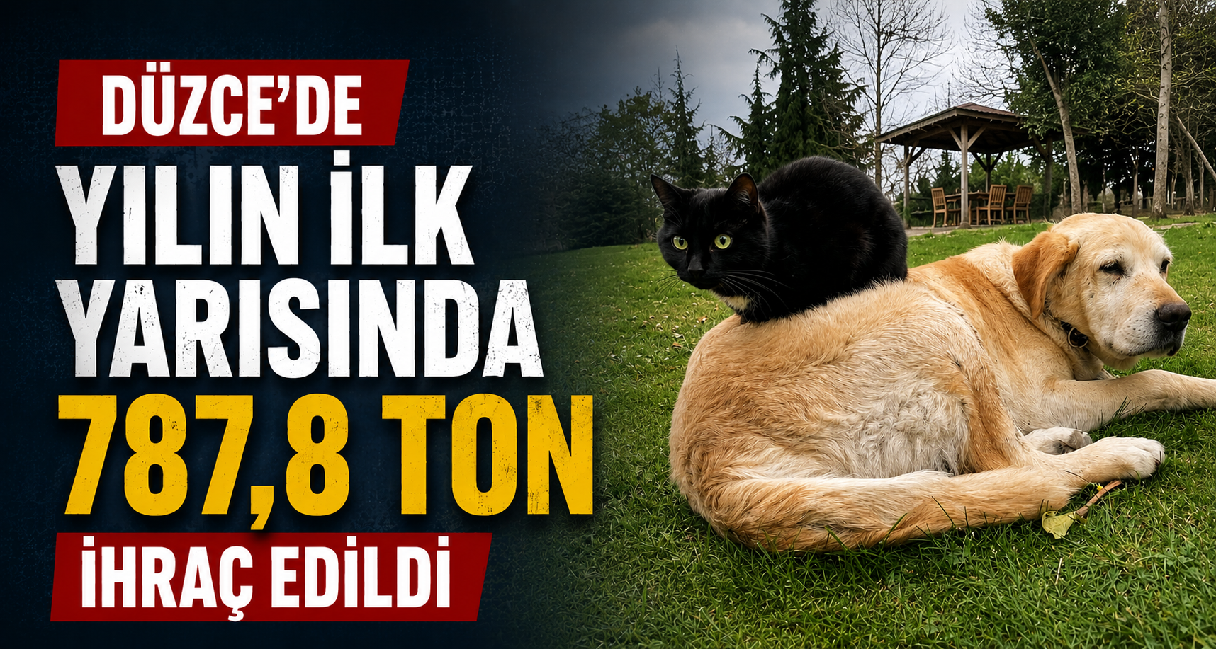 Düzce'de yılın ilk yarısında 787,8 ton ihraç edildi
