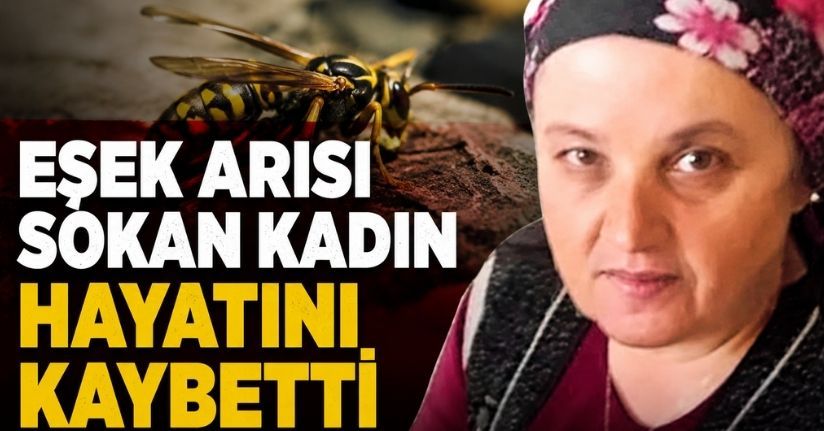  Eşek arısı sokan kadın hayatını kaybetti