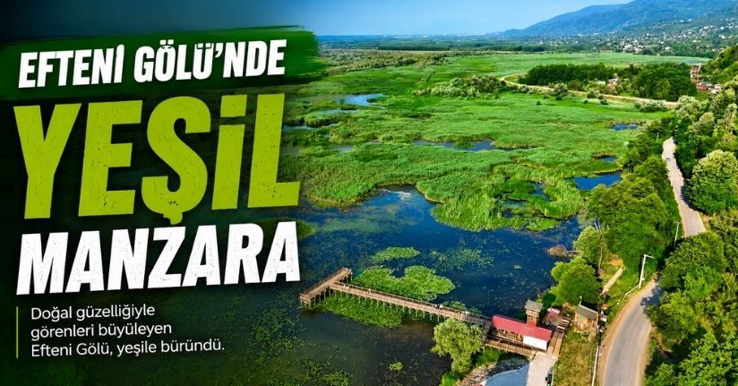 Efteni Gölü'nde 'yeşil manzara'