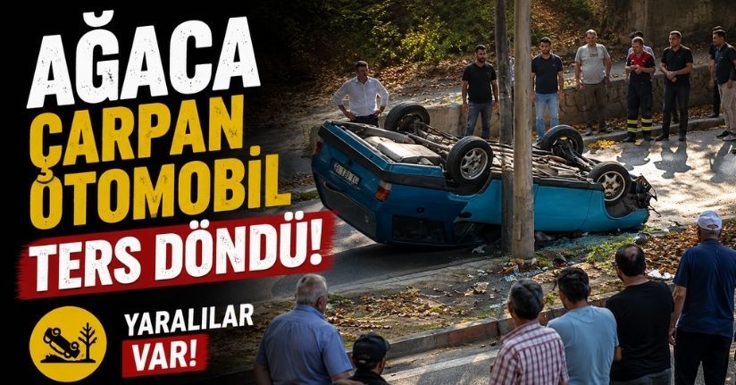 Ağaca çarpan otomobil ters döndü