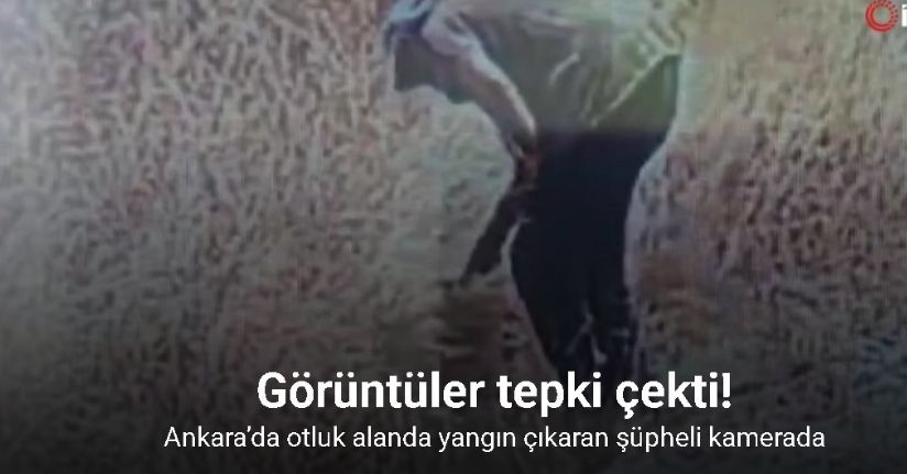 Ankara’da otluk alanda yangın çıkaran şüpheli kamerada