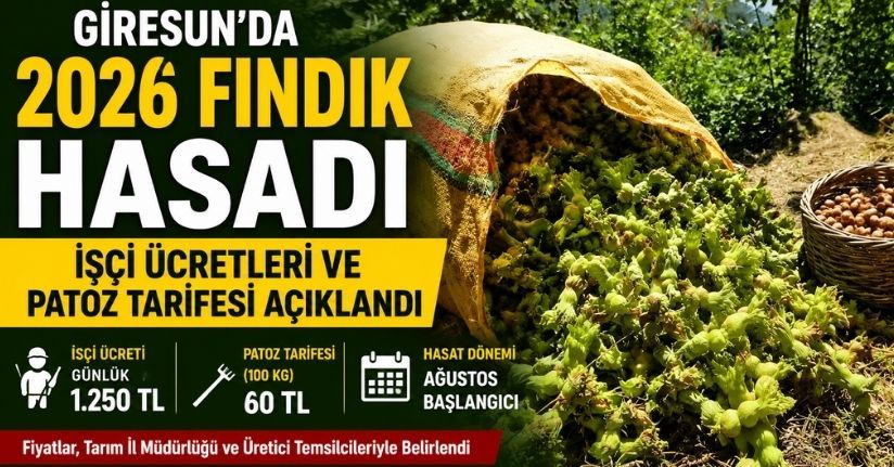 Giresun’da 2026 fındık hasadı işçi ücretleri ve patoz tarifesi açıklandı