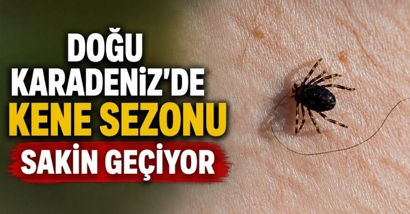 Doğu Karadeniz’de kene sezonu sakin geçiyor
