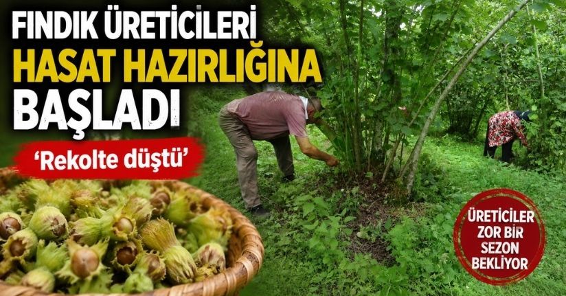 Fındık üreticileri hasat hazırlığına başladı: