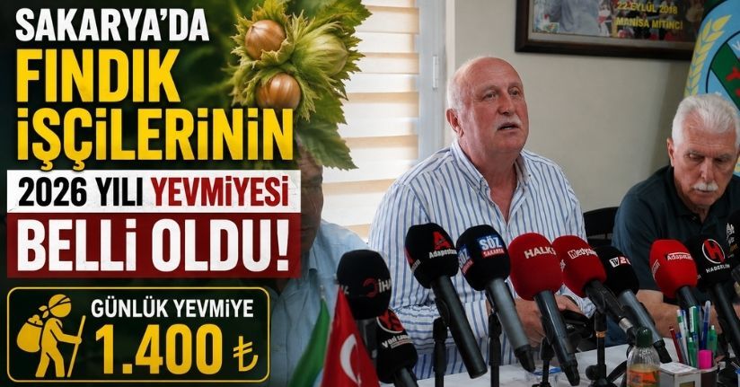 Sakarya’da fındık işçilerinin 2026 yılı yevmiyesi belli oldu
