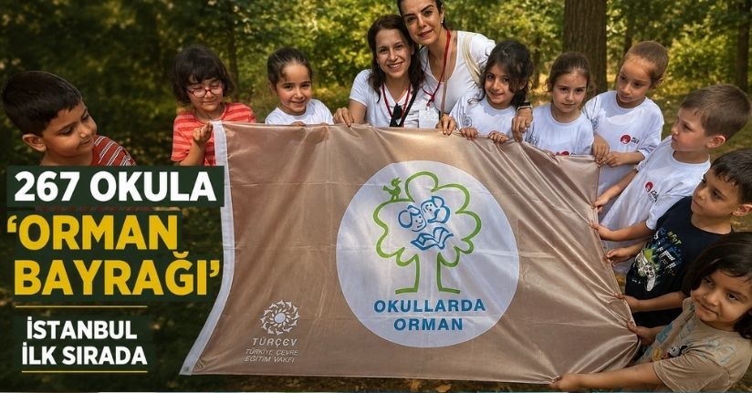 267 okula 'Orman bayrağı'; İstanbul ilk sırada