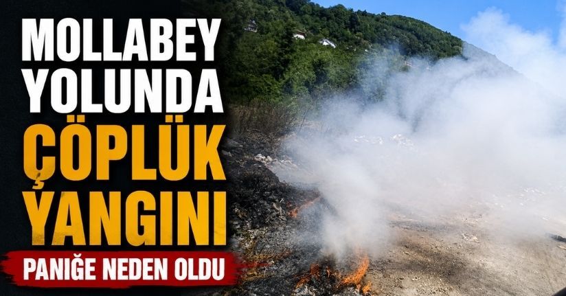 Mollabey yolunda çöplük yangını paniğe neden oldu