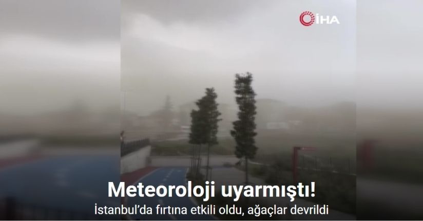 İstanbul’da fırtına etkili oldu, ağaçlar devrildi
