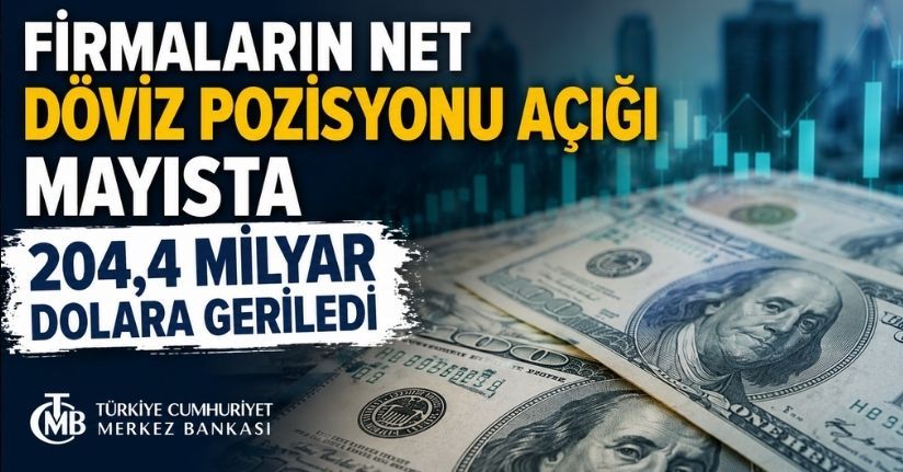 Firmaların net döviz pozisyonu açığı mayısta 204,4 milyar dolara geriledi