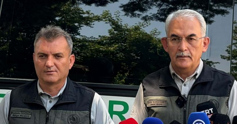 Muğla'daki orman yangını kontrol altına alındı; 350 hektar alan zarar gördü 