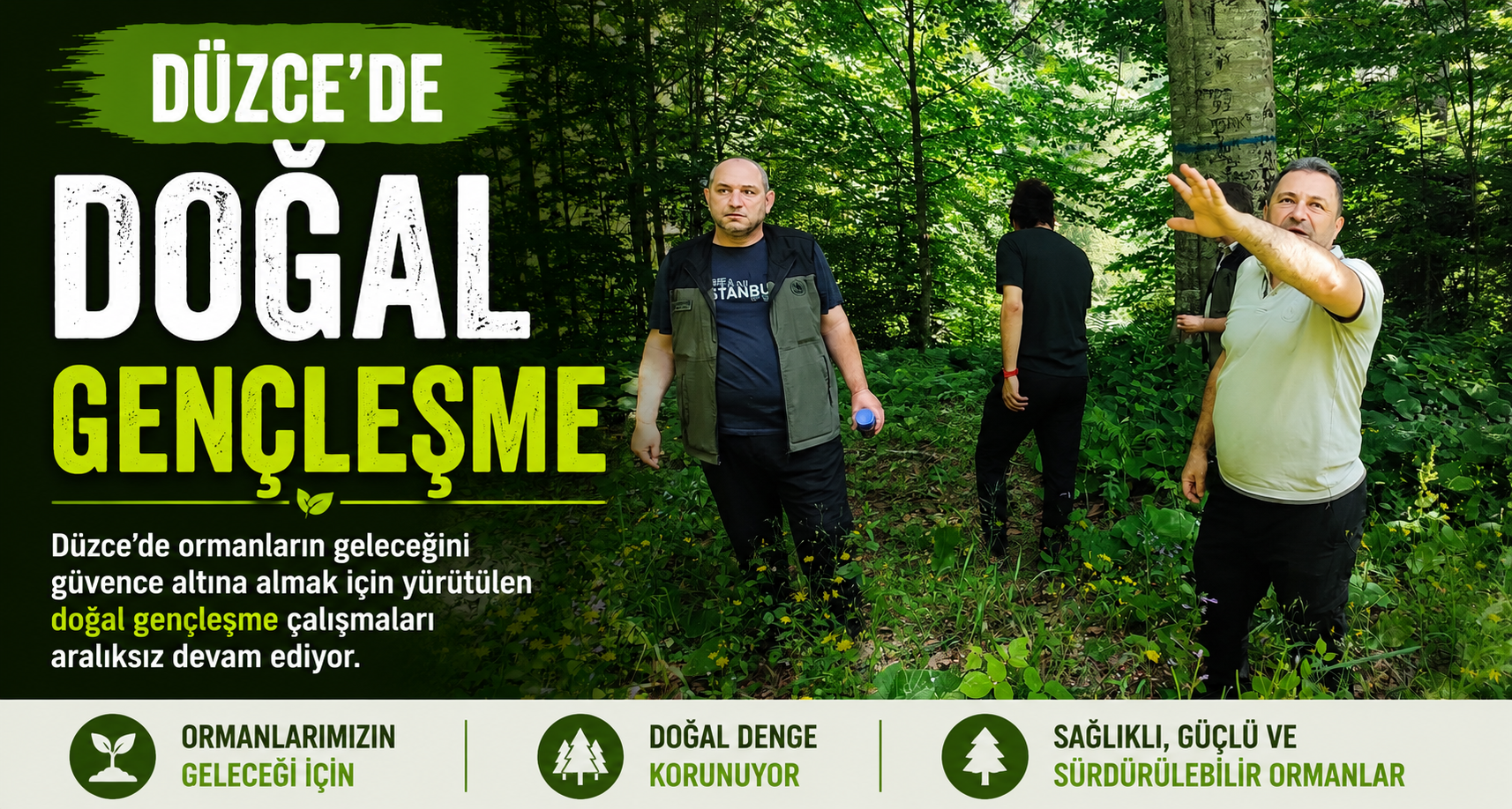 Düzce’de doğal gençleşme