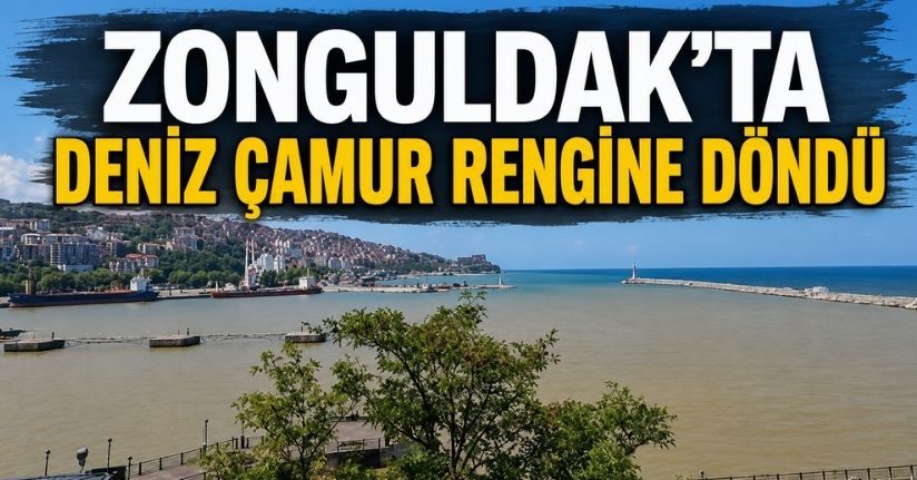 Zonguldak'ta deniz çamur rengine döndü