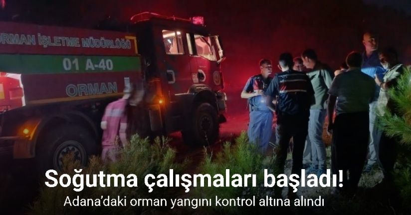 Adana’daki orman yangını kontrol altına alındı
