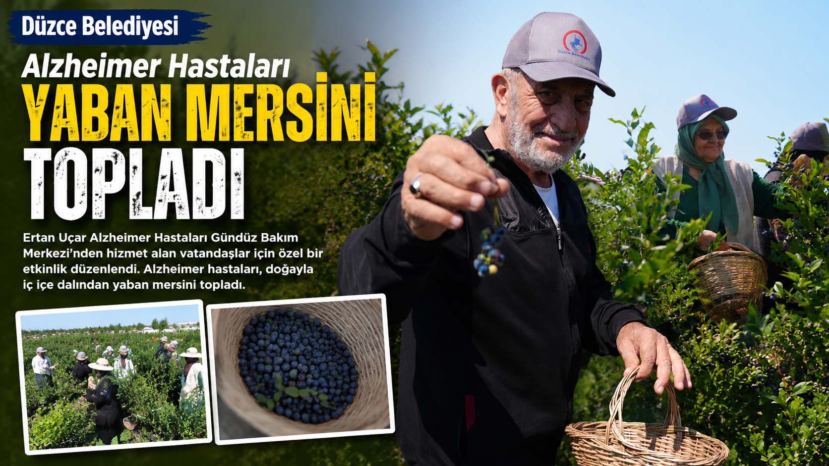 Alzheimer Hastaları Dalından Yaban Mersin’i Topladılar