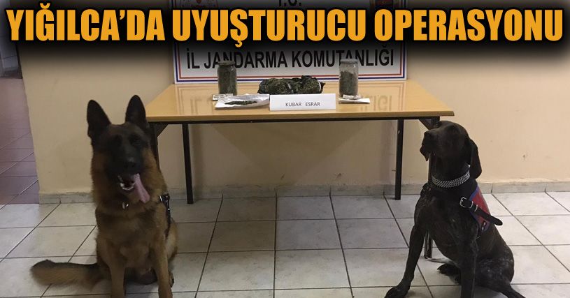 Jandarmadan uyuşturucu operasyonu