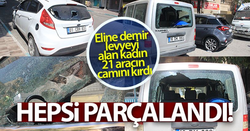Şanlıurfa'da eline demir levyeyi alan kadın 21 aracın camını kırdı