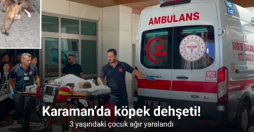 Karaman’da köpek dehşeti: 3 yaşındaki çocuk ağır yaralandı