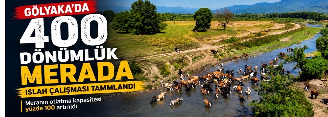 Gölyaka'da 400 dönümlük merada ıslah çalışması tamamlandı