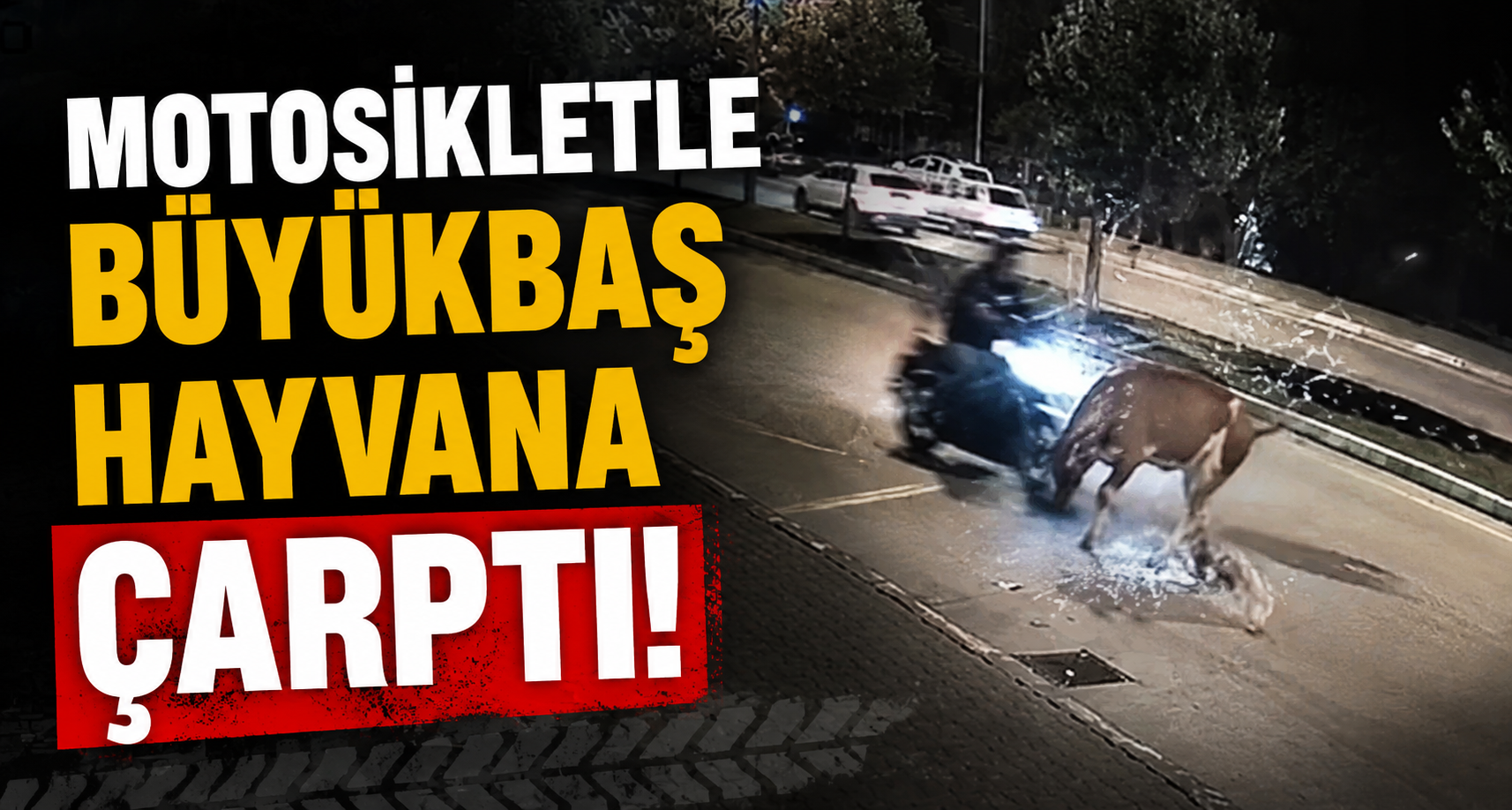 Motosikletle büyükbaş hayvana çarptı