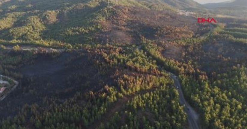 Muğla’da yangınların bilançosu; 5 bin hektardan fazla alan zarar gördü