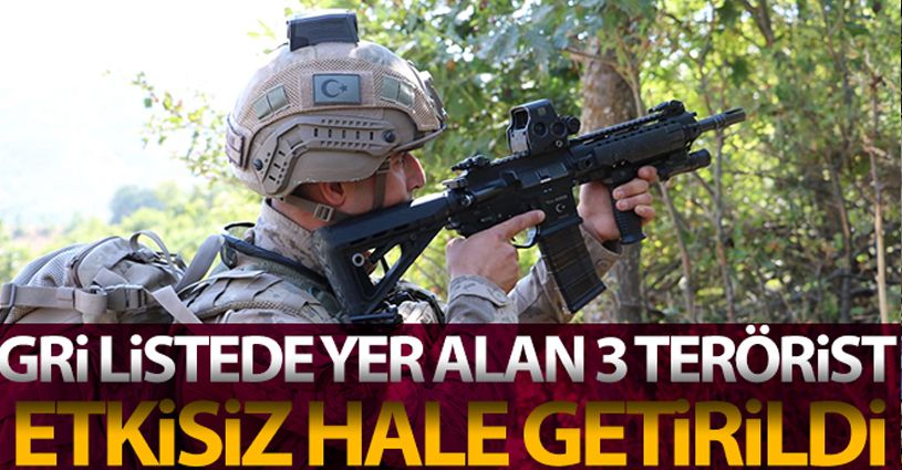 Hatay'da etkisiz hale getirilen 3 teröristin gri kategoride arandığı tespit edildi