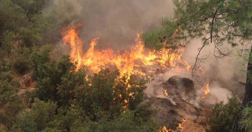 Rüzgar alevleri yeniden harlıyor, ekipler zamana karşı yarışıyor