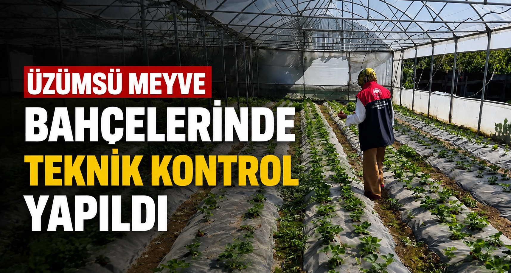 Üzümsü meyve bahçelerinde teknik kontrol yapıldı