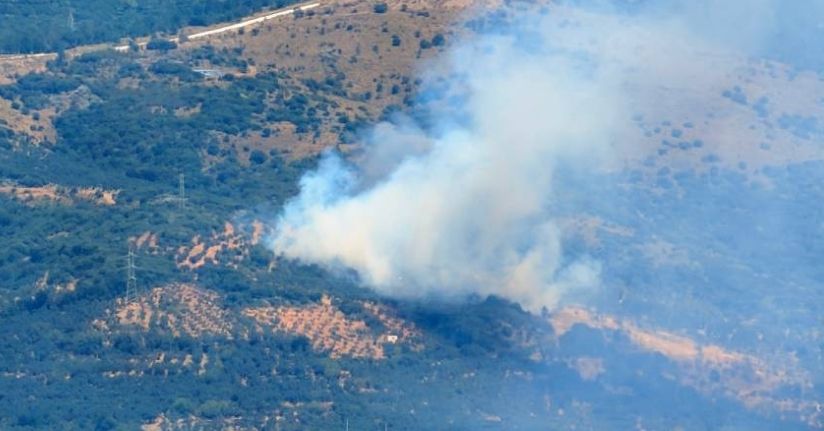 Marmara Adası’nda orman yangını başladı