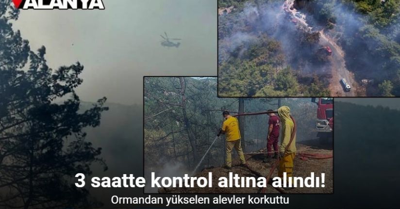 Alanya’da orman yangını 3 saatte kontrol altına alındı