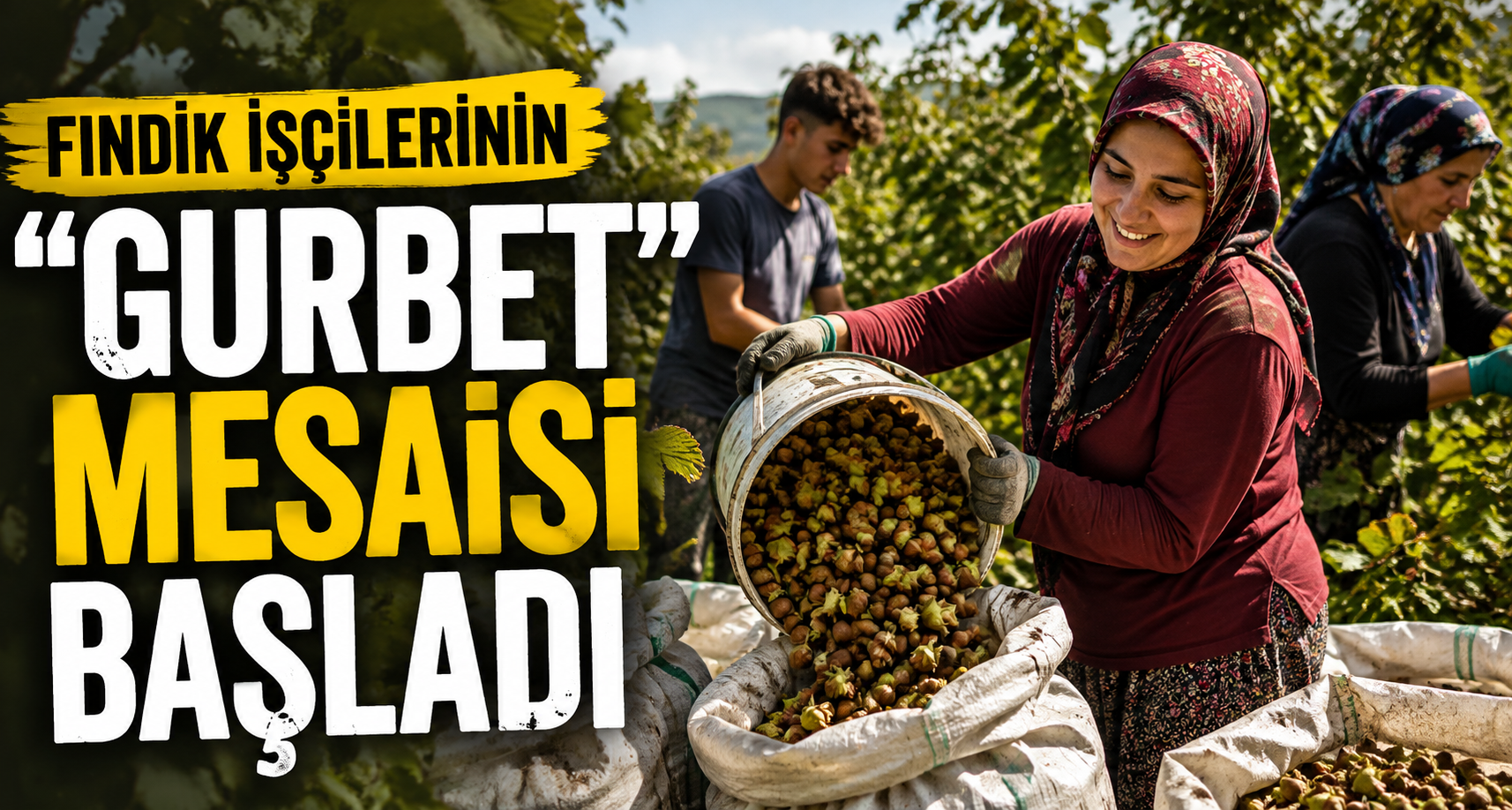 Fındık işçilerinin 